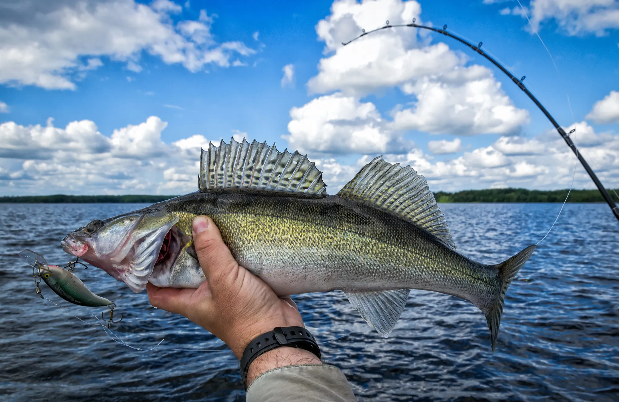 Best Transom Mounted Trolling Motors for 2023 - Fish Finder Tech